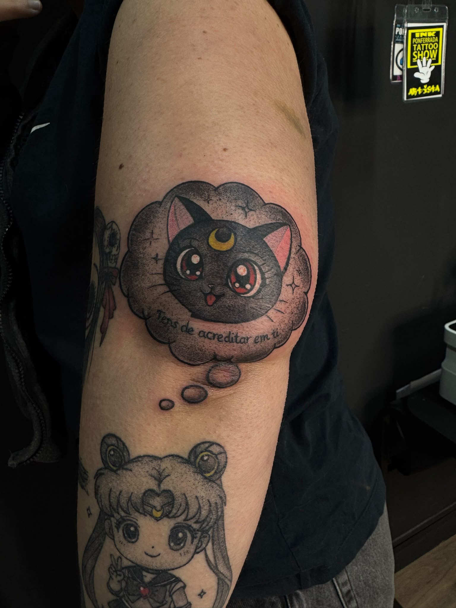 Gato anime