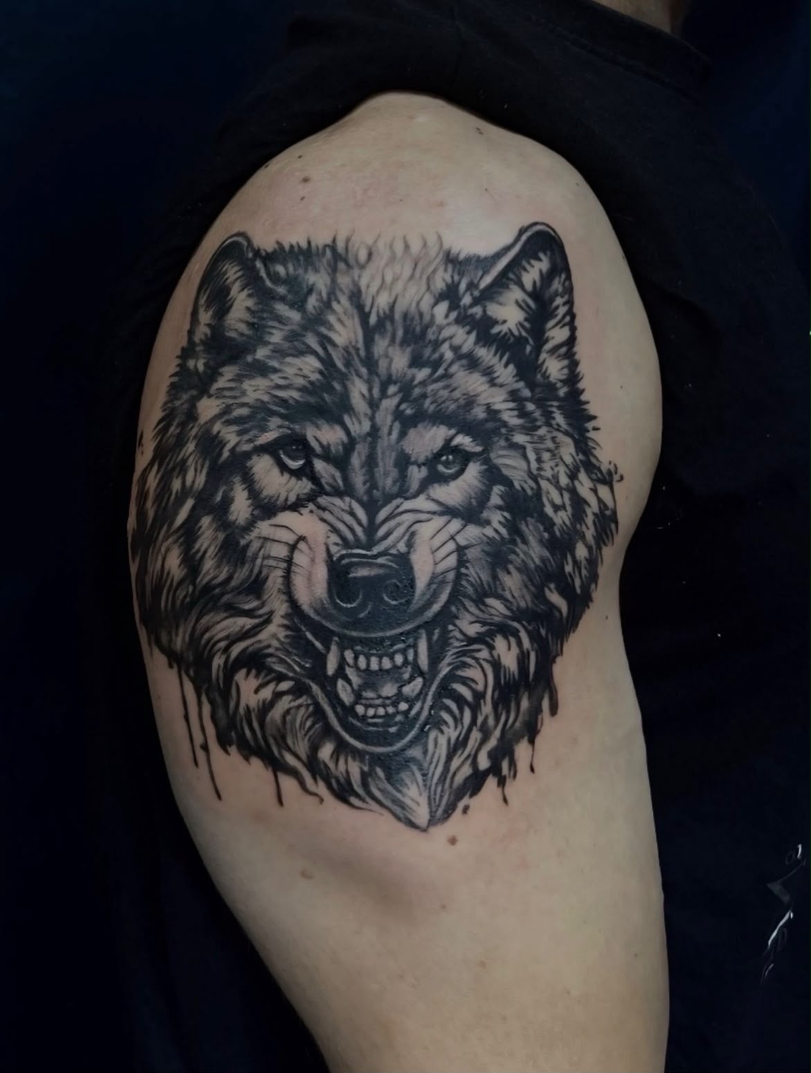 Lobo