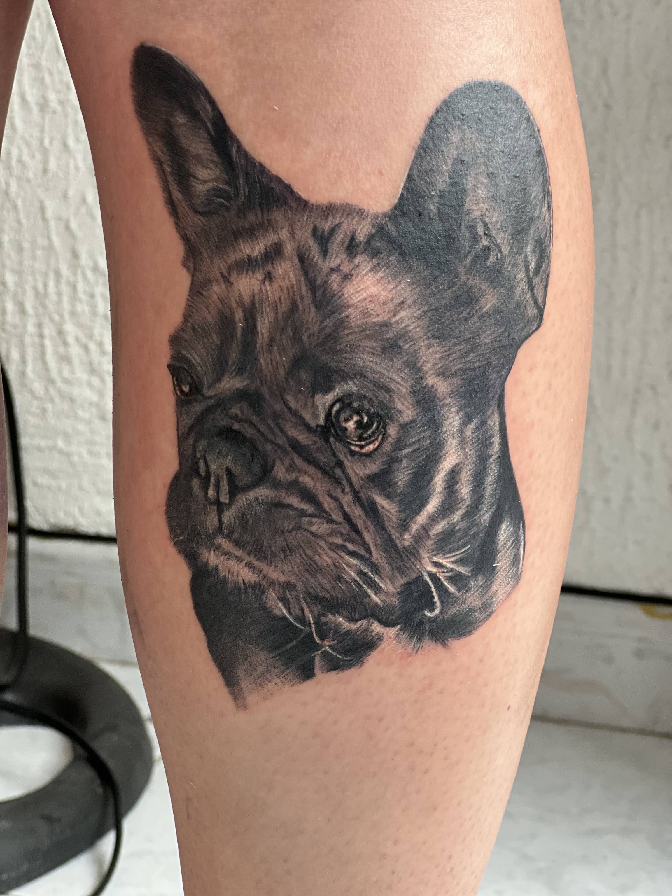Retrato de cão